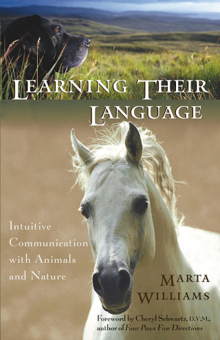 Omslagafbeelding: Learning Their Language 9781577312437