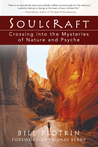 Cover image: Soulcraft 9781577314226