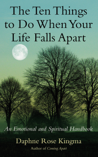 Omslagafbeelding: The Ten Things to Do When Your Life Falls Apart 9781577316985