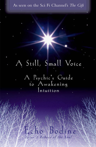 Cover image: A Still, Small Voice 9781577311362