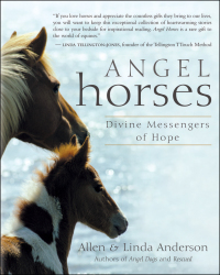 Imagen de portada: Angel Horses 9781577315186