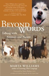 Cover image: Beyond Words 9781577314929