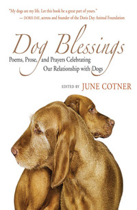Cover image: Dog Blessings 9781577316169