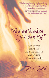 Imagen de portada: Why Walk When You Can Fly 9781577316374