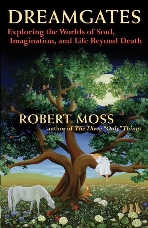 Dreamgates: Exploring the Worlds of Soul, Imagination, and Life Beyond Death - FULL INSTANT DOWNLOAD | PDF DOCX EPUB