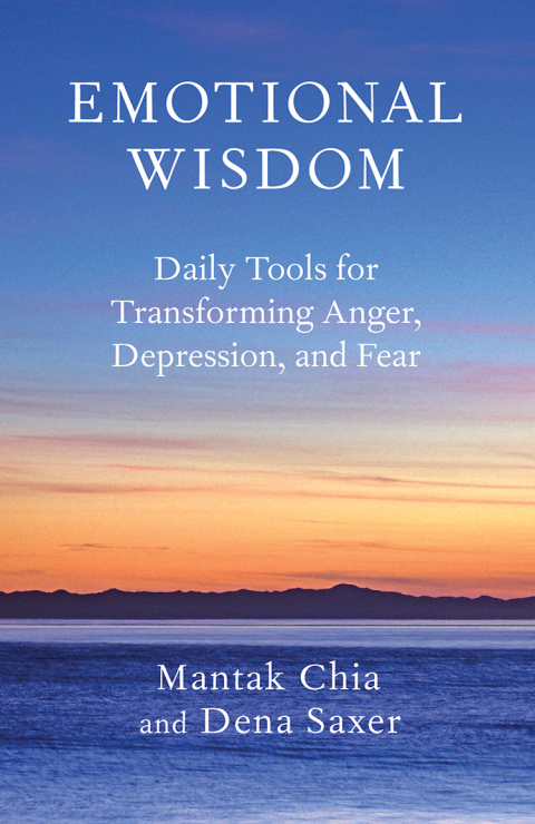 Emotional Wisdom: Daily Tools for Transforming Anger, Depression, and Fear - FULL INSTANT DOWNLOAD | PDF DOCX EPUB