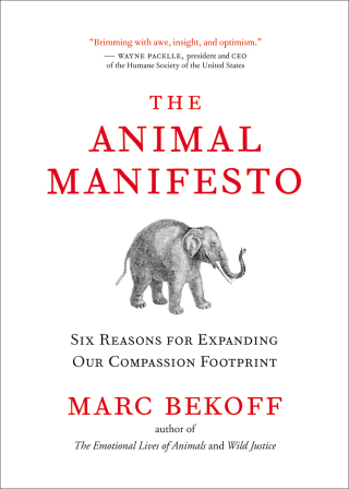 Imagen de portada: The Animal Manifesto 9781577316497