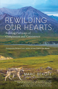 Cover image: Rewilding Our Hearts 9781577319542