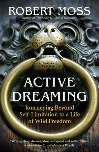 Cover image: Active Dreaming 9781577319641