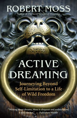 Cover image: Active Dreaming 9781577319641