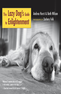 Omslagafbeelding: The Lazy Dog's Guide to Enlightenment 9781577315711