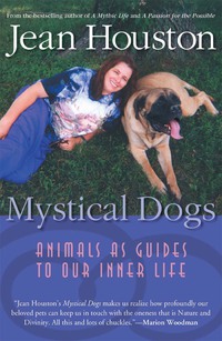表紙画像: Mystical Dogs 9781930722323