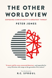 Cover image: The Other Worldview 9781577996224