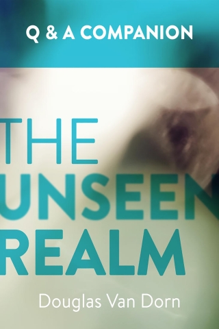 Cover image: The Unseen Realm: A Question & Answer Companion 9781577996927