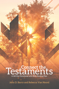 Omslagafbeelding: Connect the Testaments 9781577995821