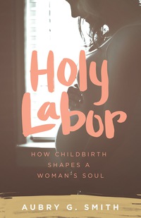 Cover image: Holy Labor 9781577997382