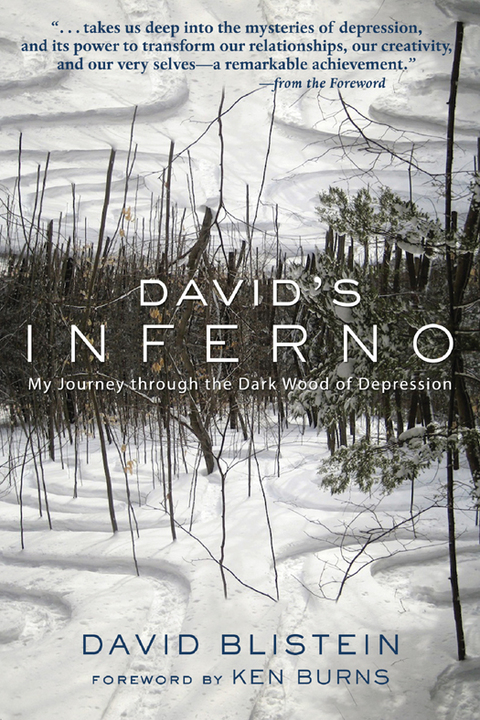 David's Inferno : My Journey Through the Dark Wood of Depression - FULL INSTANT DOWNLOAD | PDF DOCX EPUB