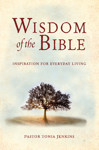 Cover image: Wisdom of the Bible 9781578264544