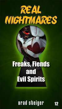 Cover image: Real Nightmares (Book 12) 9781578594504