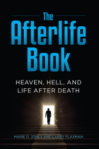 Cover image: The Afterlife Book 9781578597611