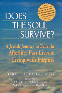 Imagen de portada: Does the Soul Survive? 1st edition 9781580231657