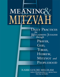 Imagen de portada: Meaning & Mitzvah 1st edition 9781683361893