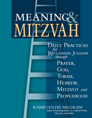 表紙画像: Meaning & Mitzvah 1st edition 9781683361893