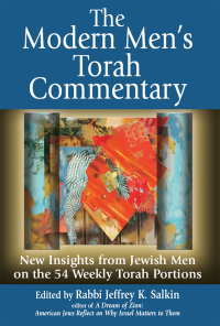 Cover image: The Modern Men's Torah Commentary 1st edition 9781580233958