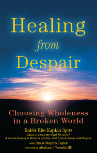 Cover image: Healing from Despair 1st edition 9781683361077