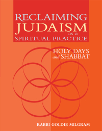Cover image: Reclaiming Judaism as a Spiritual Practice 1st edition 9781580232050