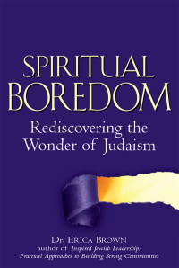Omslagafbeelding: Spiritual Boredom 1st edition 9781580234054