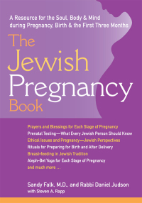 Imagen de portada: The Jewish Pregnancy Book 1st edition 9781580231787