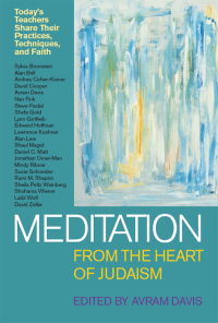 Omslagafbeelding: Meditation from the Heart of Judaism 1st edition 9781683361916