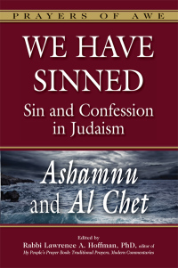 Cover image: We Have Sinned 1st edition 9781683364788