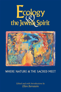 Cover image: Ecology & the Jewish Spirit 1st edition 9781683360407