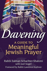 Cover image: Davening 1st edition 9781580236270