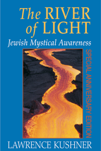 Cover image: The River of Light 1st edition 9781580230964