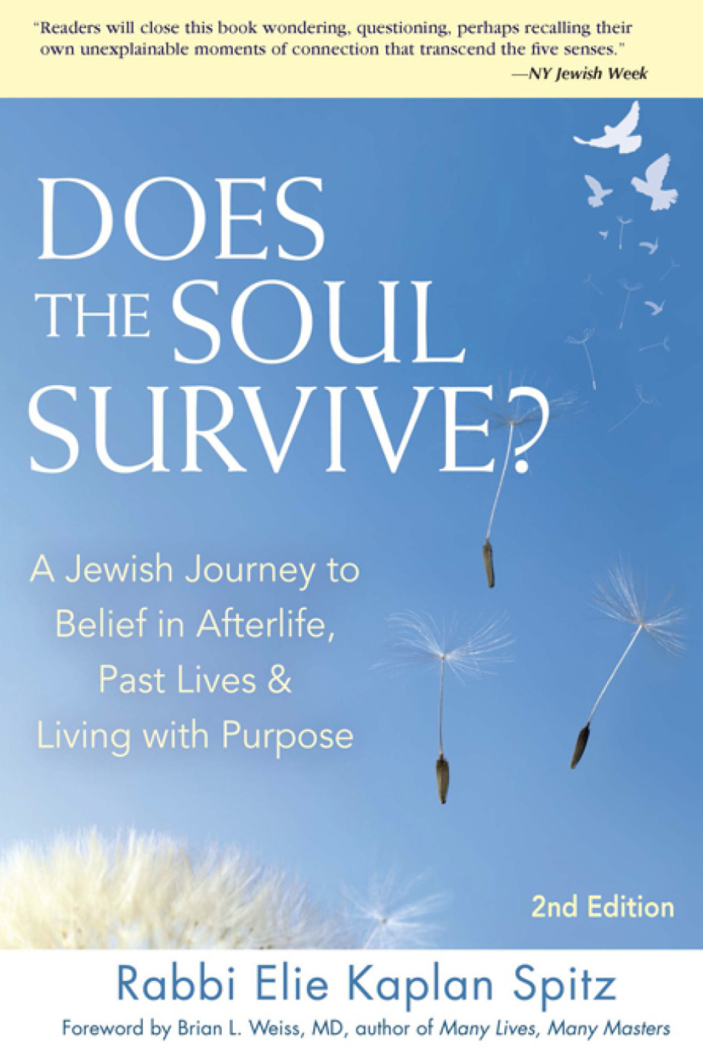 Does the Soul Survive 2nd Edition  2nd Edition eBook