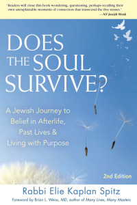 Cover image: Does the Soul Survive? (2nd Edition) 2nd edition 9781683360360