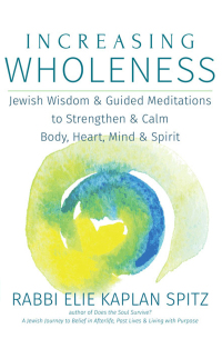 表紙画像: Increasing Wholeness 1st edition 9781580238236