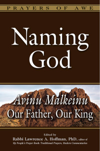Imagen de portada: Naming God 1st edition 9781683362173
