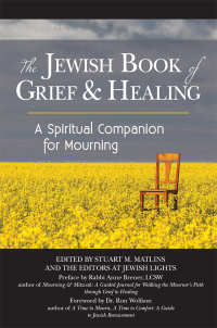 Imagen de portada: The Jewish Book of Grief and Healing 1st edition 9781683363842
