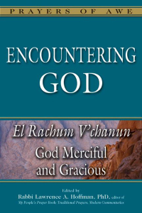 Imagen de portada: Encountering God 1st edition 9781580238540