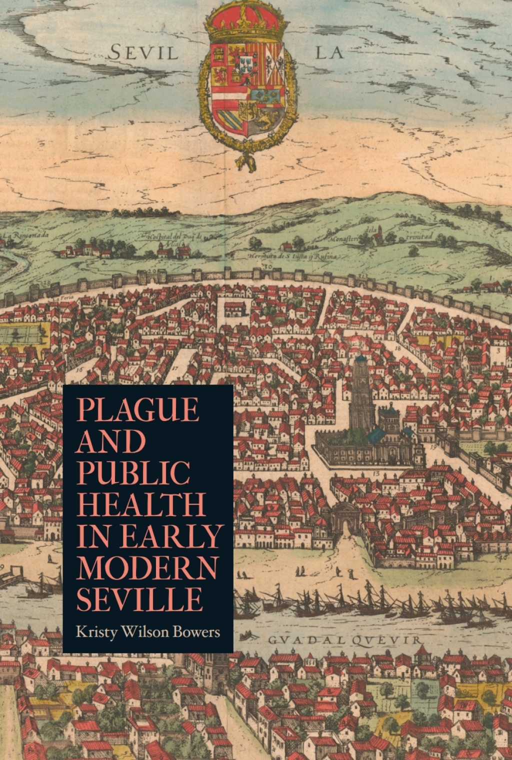 Plague and Public Health in Early Modern Seville 1st Edition