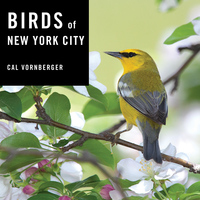 Omslagafbeelding: Birds of New York City 9781581574074