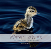 Cover image: Water Babies: The Hidden Lives of Baby Wetland Birds 1st edition 9781581573053