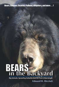 Cover image: Bears in the Backyard: Big Animals, Sprawling Suburbs, and the New Urban Jungle 1st edition 9781581572179