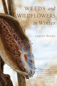 Cover image: Weeds and Wildflowers in Winter 1st edition 9781581571776