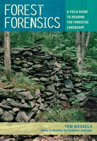 Cover image: Forest Forensics: A Field Guide to Reading the Forested Landscape 1st edition 9780881509182
