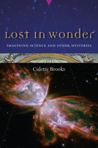 Cover image: Lost in Wonder 9781582435725
